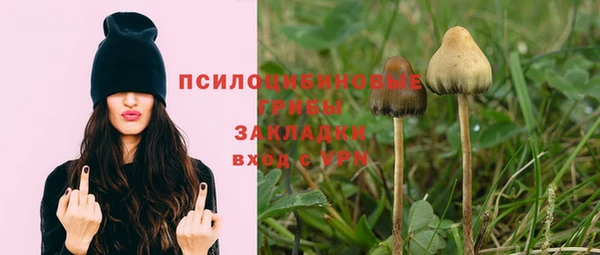 мяу мяу мука Нязепетровск