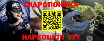 стаф Гусиноозёрск