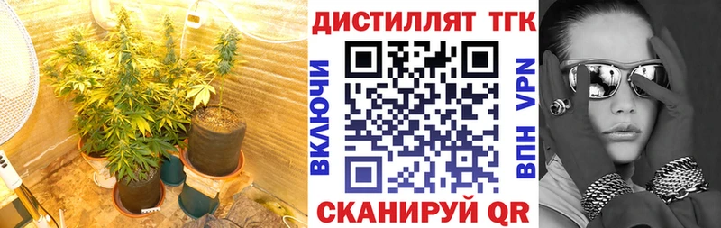 закладки  Назрань  Дистиллят ТГК концентрат 