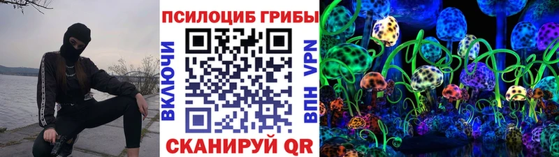 Псилоцибиновые грибы MAGIC MUSHROOMS  хочу наркоту  Назрань 