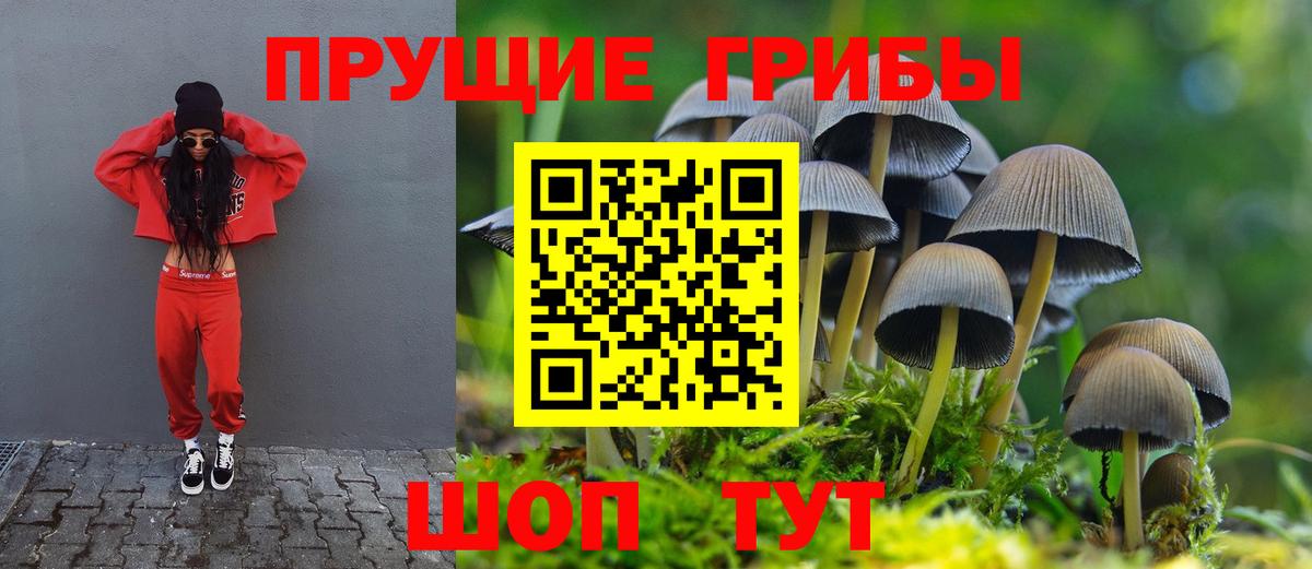 Галлюциногенные грибы мицелий Назрань