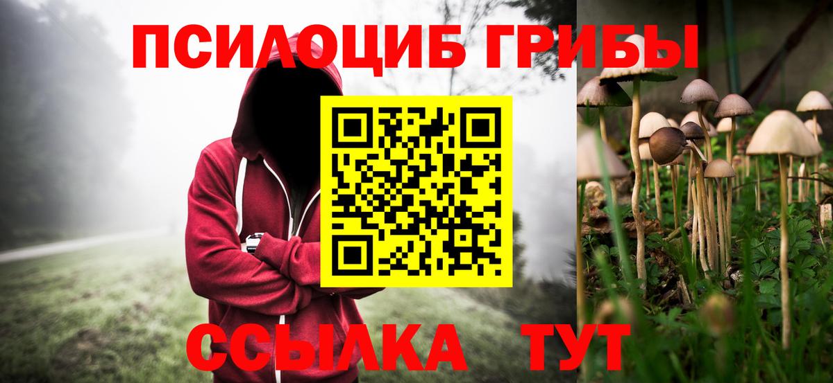 Галлюциногенные грибы Psilocybine cubensis  Галлюциногенные грибы MAGIC MUSHROOMS  Назрань  Вход с VPN 