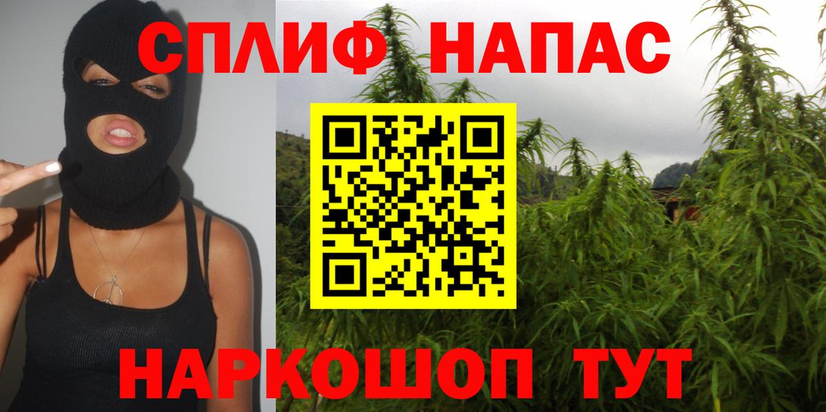 Каннабис план Назрань